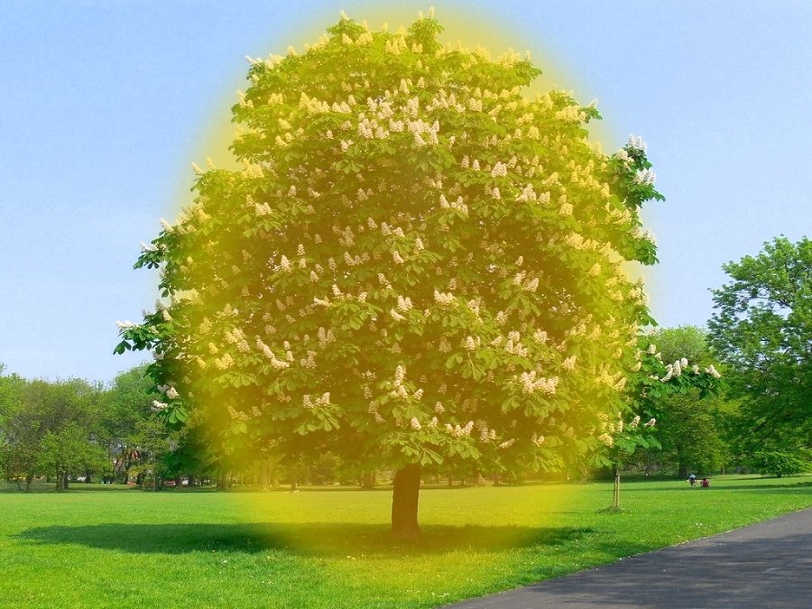 Энергии нашего Мира - _11.jpg