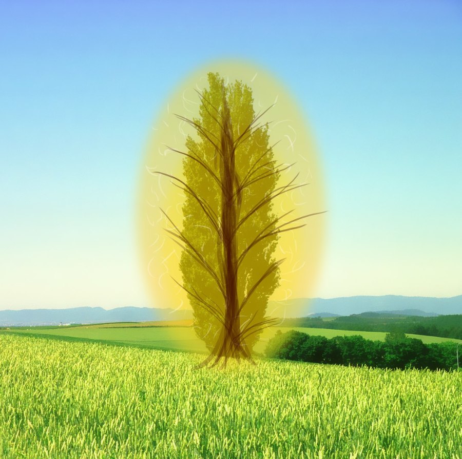 Энергии нашего Мира - _5.jpg