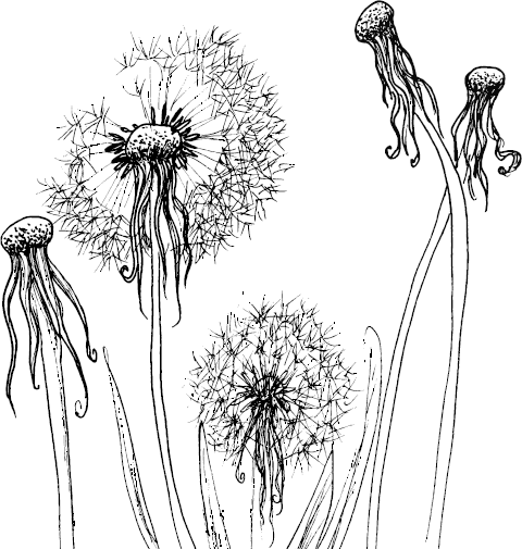 Аллергошкола для мам. Лечение аллергии у детей - _2.png