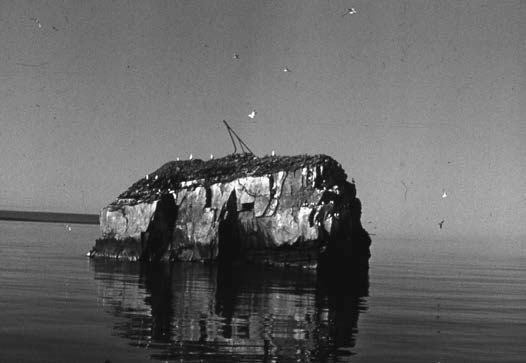 Записки водолазного старшины. Взгляд зоолога-натуралиста - i_011.jpg