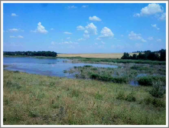 Кошкин сын (СИ) - _68.jpg