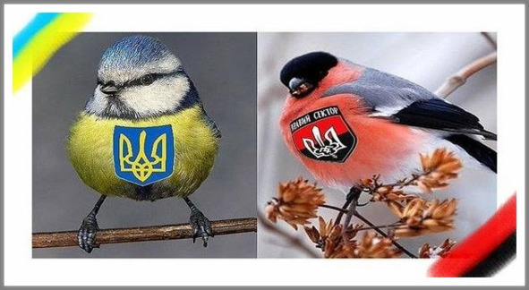 Кошкин сын (СИ) - _73.jpg