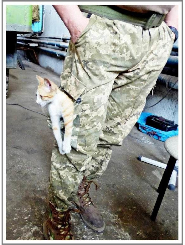 Кошкин сын (СИ) - _90.jpg