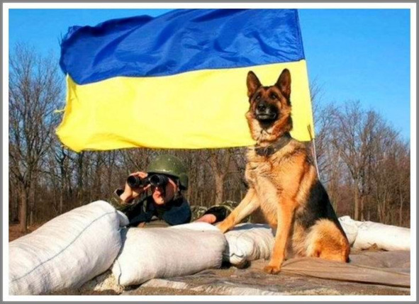 Кошкин сын (СИ) - _96.jpg