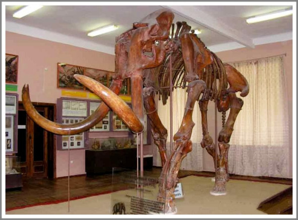 Кошкин сын (СИ) - _12.jpg