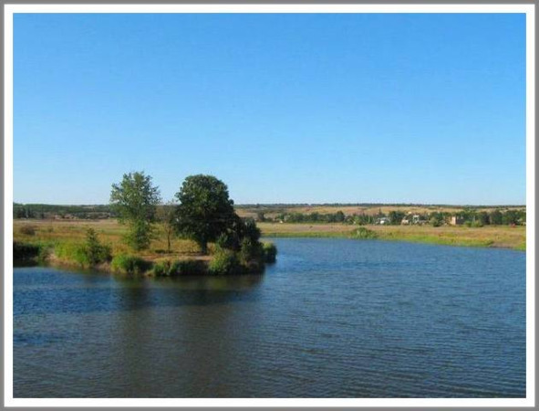 Кошкин сын (СИ) - _35.jpg