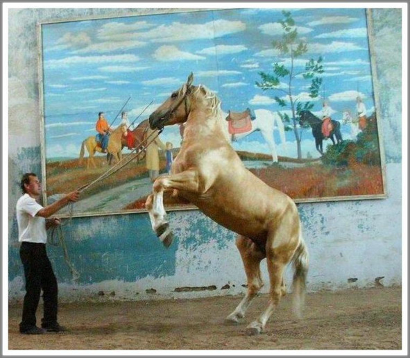 Кошкин сын (СИ) - _45.jpg