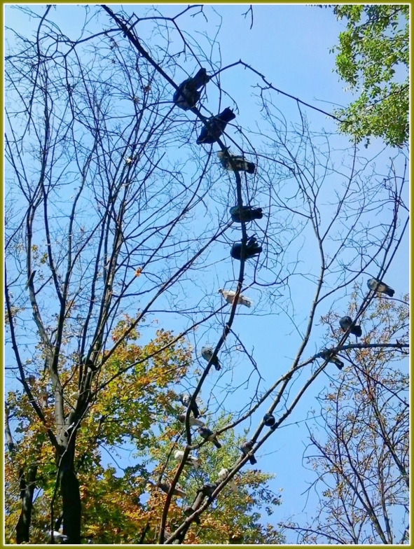 Кошкин сын (СИ) - _58.jpg