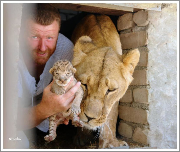 Кошкин сын (СИ) - _63.jpg