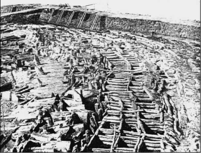 Индоевропейцы Евразии и славяне - i_058.jpg