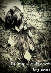  Фролова Екатерина - Без слов
