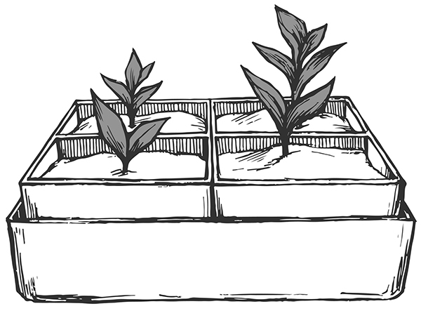 Хитрые грядки. Толковая книга для тех, кто любит отдыхать - i_001.jpg