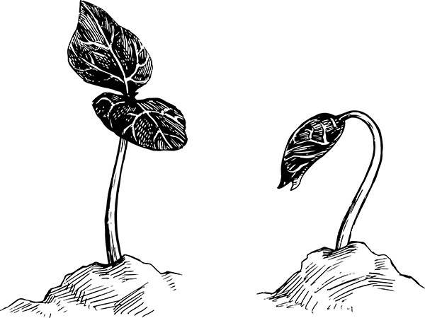 Хитрые грядки. Толковая книга для тех, кто любит отдыхать - i_008.jpg