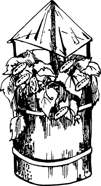 Хитрые грядки. Толковая книга для тех, кто любит отдыхать - i_020.jpg