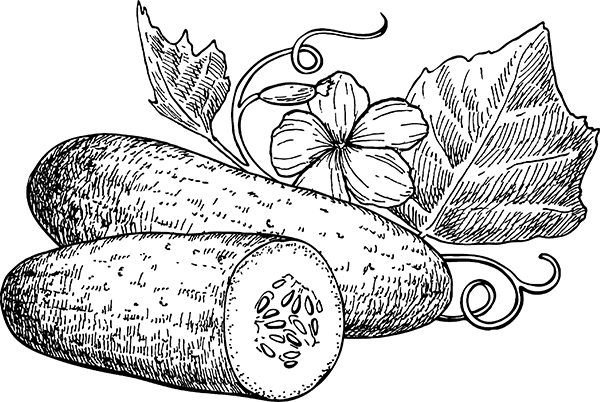 Хитрые грядки. Толковая книга для тех, кто любит отдыхать - i_022.jpg