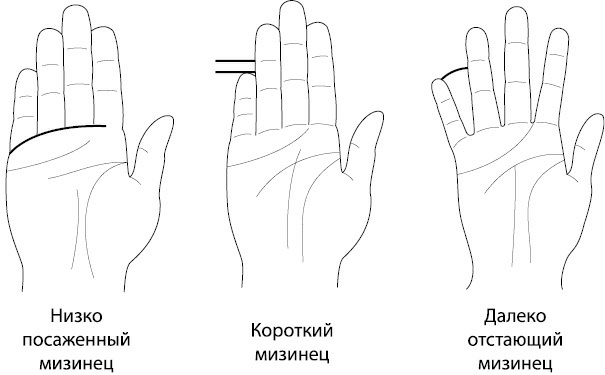 Ваши руки и ладони раскрывают вам секреты. Хиромантические этюды - _13.png