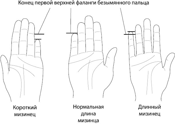 Ваши руки и ладони раскрывают вам секреты. Хиромантические этюды - _15.png