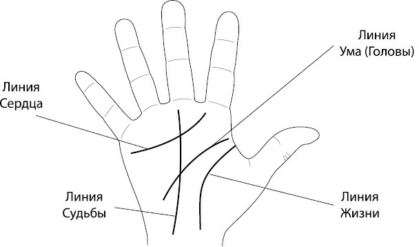 Ваши руки и ладони раскрывают вам секреты. Хиромантические этюды - _4.png