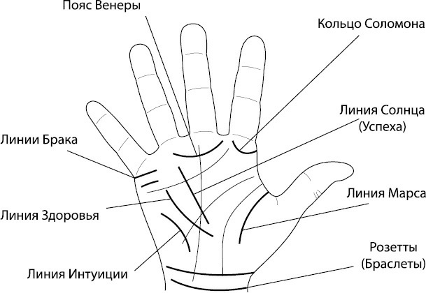 Ваши руки и ладони раскрывают вам секреты. Хиромантические этюды - _6.png