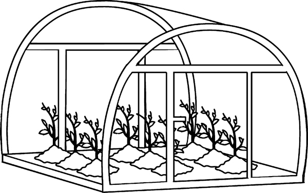 Теплицы без ошибок. С чего начать и как эффективно использовать - _57.jpg_0.jpeg
