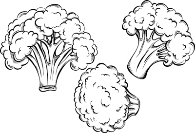 Теплицы без ошибок. С чего начать и как эффективно использовать - _58.jpg