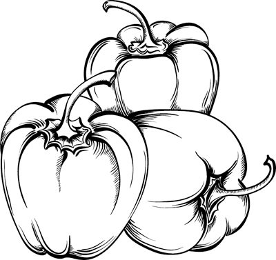 Теплицы без ошибок. С чего начать и как эффективно использовать - _61.jpg