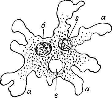 От инстинкта до разума<br />(Очерк науки о поведении) - i_002.jpg