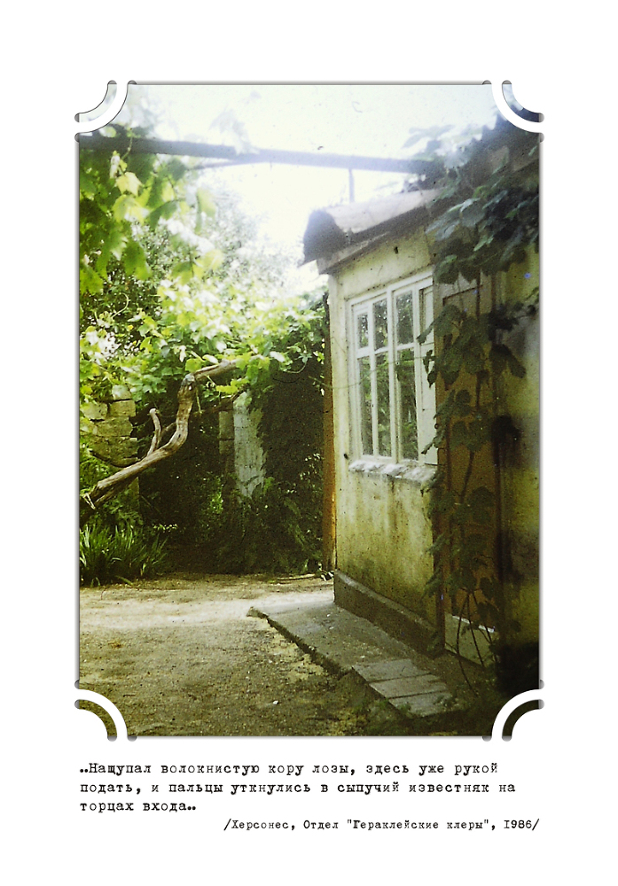 Ягоды желаний - _6.jpg