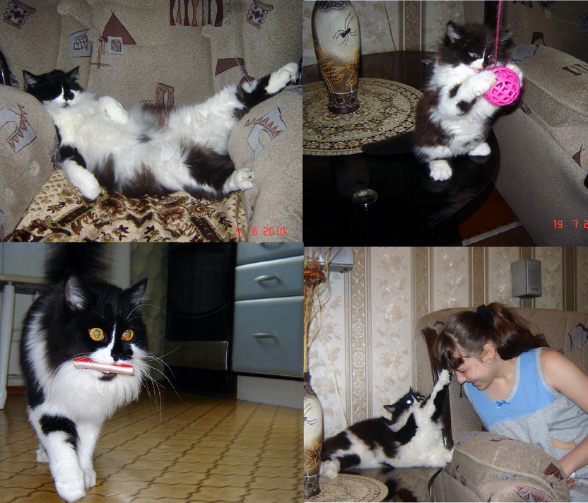 Кто в доме хозяин - _1.jpg