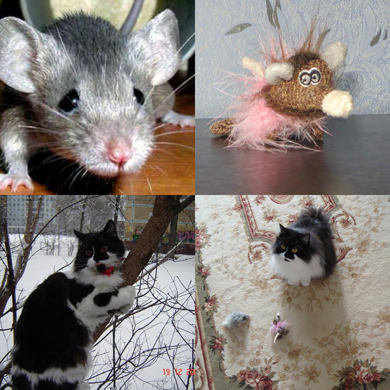 Кто в доме хозяин - _3.jpg