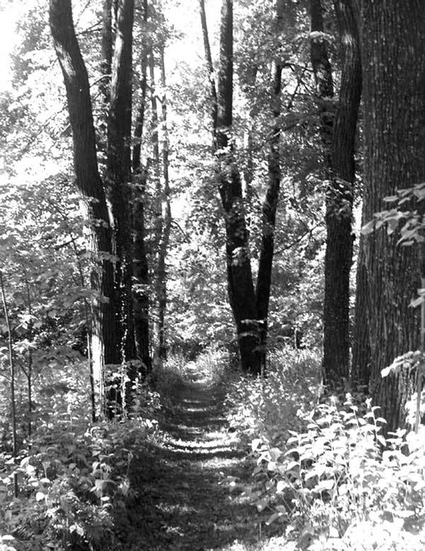 Учитель покаяния. Жизнеописание святителя Игнатия (Брянчанинова) - i_008.jpg