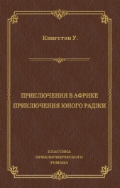  Кингстон Уильям - Приключения в Африке. Приключения юного раджи (сборник)