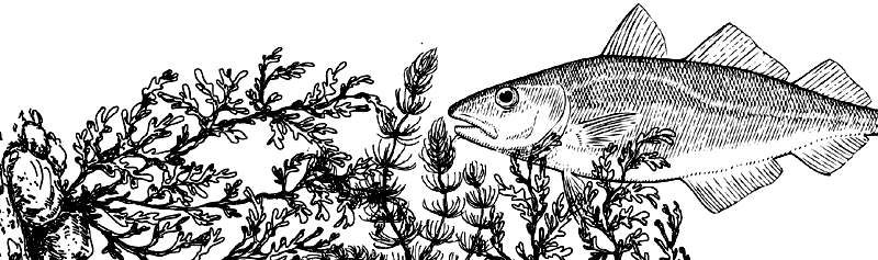 Барсучий нос. С вопросами и ответами для почемучек - i_015.png