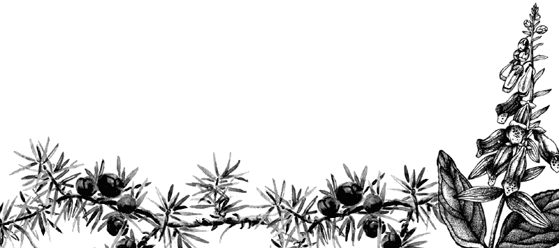 Барсучий нос. С вопросами и ответами для почемучек - i_017.png