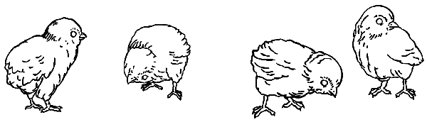 Барсучий нос. С вопросами и ответами для почемучек - i_022.png