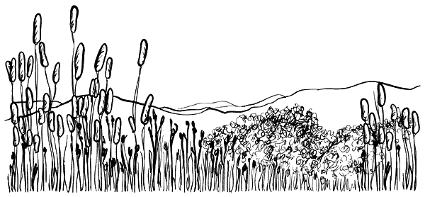 Барсучий нос. С вопросами и ответами для почемучек - i_030.png