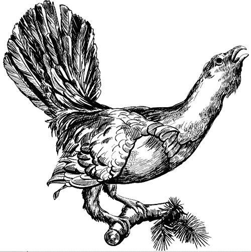 Барсучий нос. С вопросами и ответами для почемучек - i_040.png