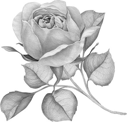 Очаровательная девушка - _1.jpg