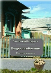  Олсуфьев Александр - Ведро на обочине