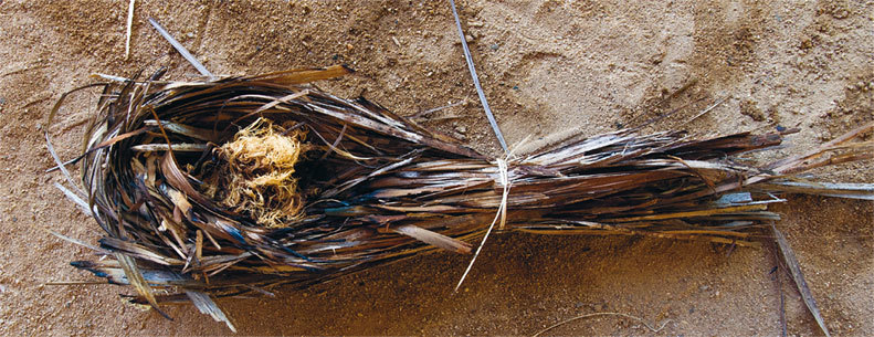 Искусство добывания огня. Для тех, кто предпочитает красоту природы городской повседневности - i_004.jpg