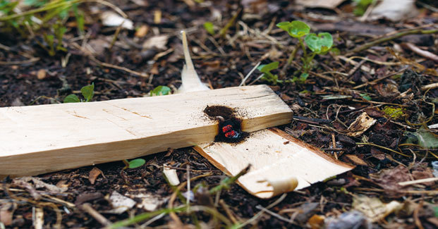 Искусство добывания огня. Для тех, кто предпочитает красоту природы городской повседневности - i_033.jpg