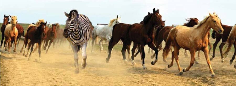 Черная книга - _13.jpg