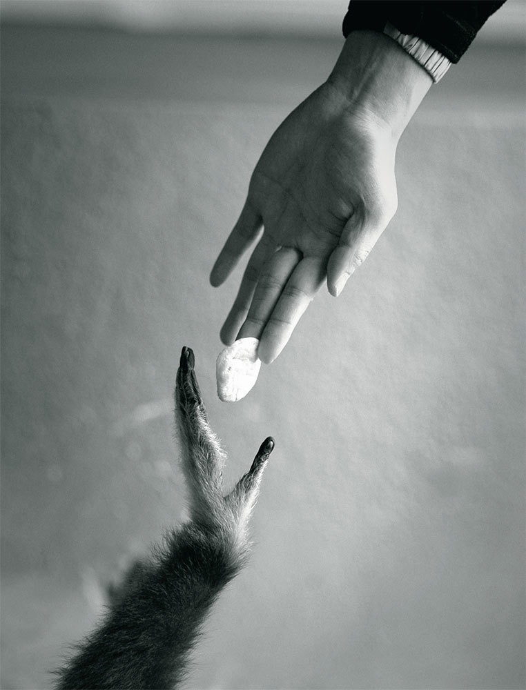 LYKKE. Секреты самых счастливых людей - i_018.jpg