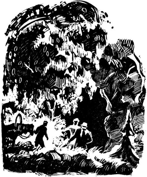 Долина роз<br />(Приключенческая повесть) - i_009.jpg