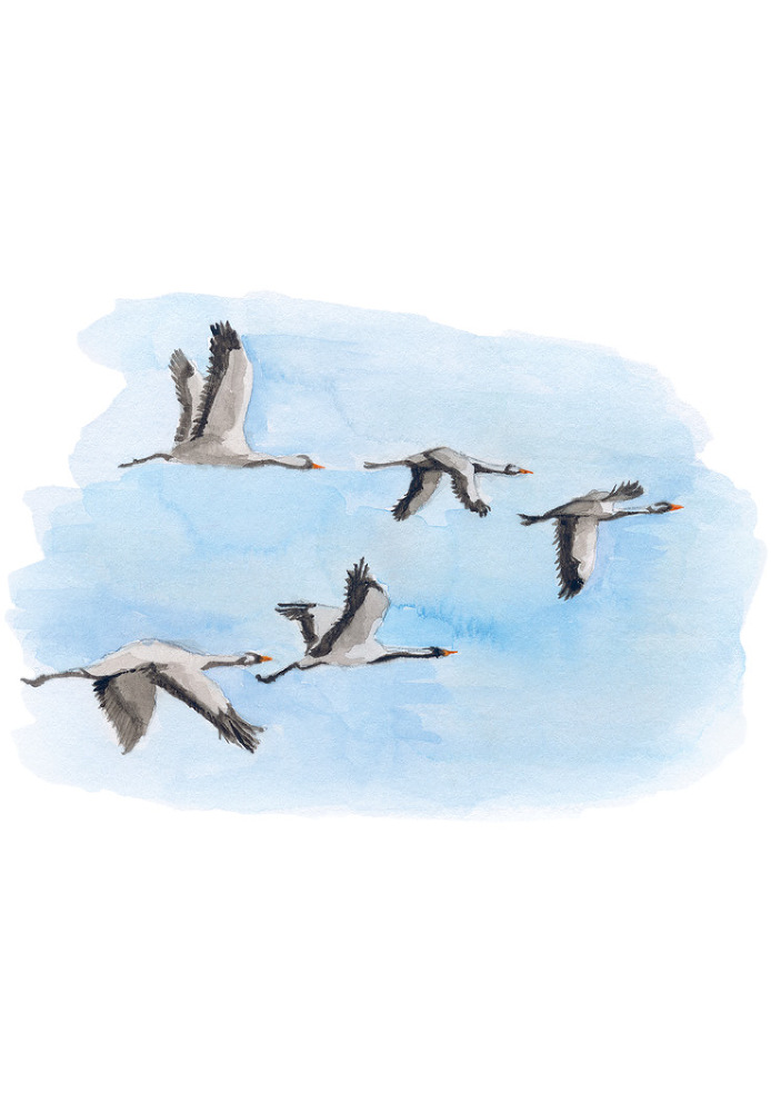 Крымскія акварели. Сборникъ стихотворенiй - _37.jpg