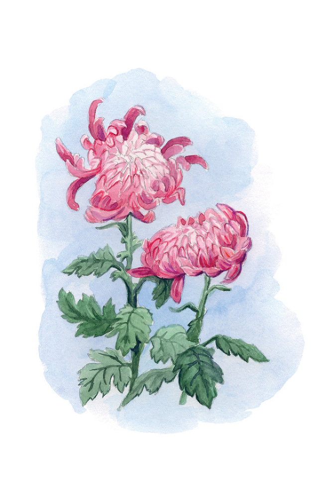 Крымскія акварели. Сборникъ стихотворенiй - _13.jpg