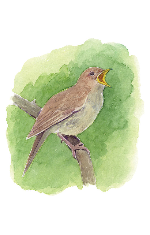 Крымскія акварели. Сборникъ стихотворенiй - _33.jpg