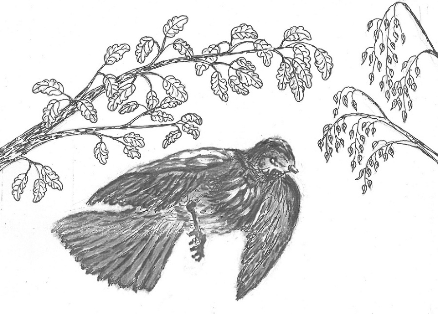 Мальчик и облако - _5.jpg