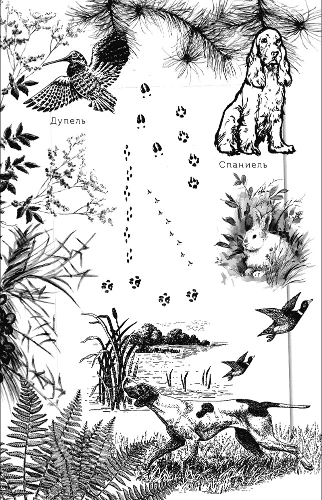 Рассказы о природе. С вопросами и ответами для почемучек - i_002.png