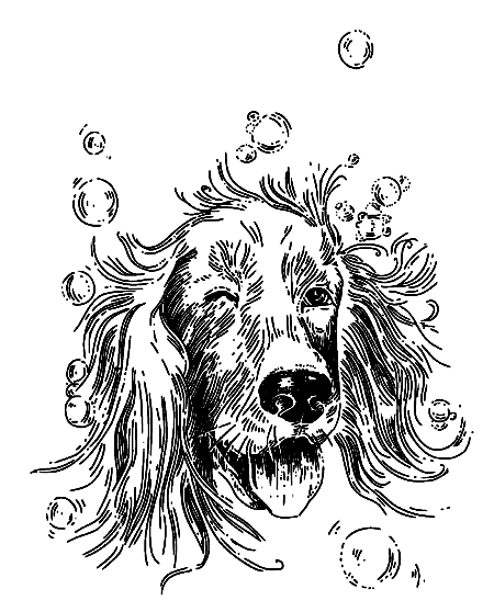 Рассказы о природе. С вопросами и ответами для почемучек - i_031.png